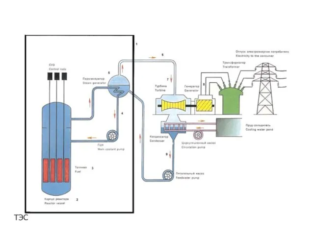 АЭС ТЭС