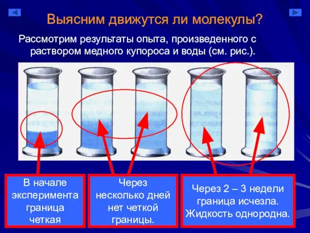 Через несколько дней нет четкой границы. В начале эксперимента граница четкая Выясним