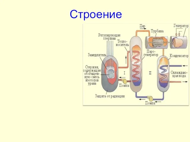 Строение