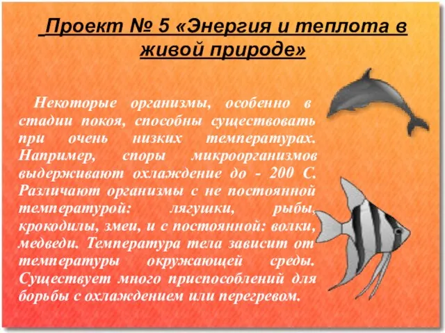 Проект № 5 «Энергия и теплота в живой природе» Некоторые организмы, особенно