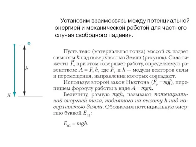 Установим взаимосвязь между потенциальной энергией и механической работой для частного случая свободного падения.