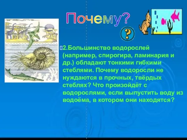 2.Большинство водорослей (например, спирогира, ламинария и др.) обладают тонкими гибкими стеблями. Почему