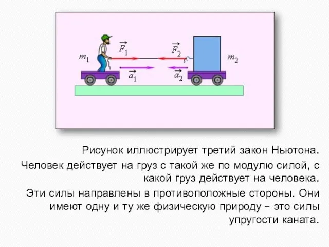 Рисунок иллюстрирует третий закон Ньютона. Человек действует на груз с такой же