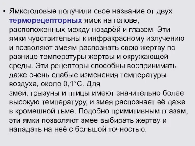 Ямкоголовые получили свое название от двух терморецепторных ямок на голове, расположенных между