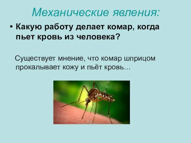 Механические явления: Какую работу делает комар, когда пьет кровь из человека? Существует