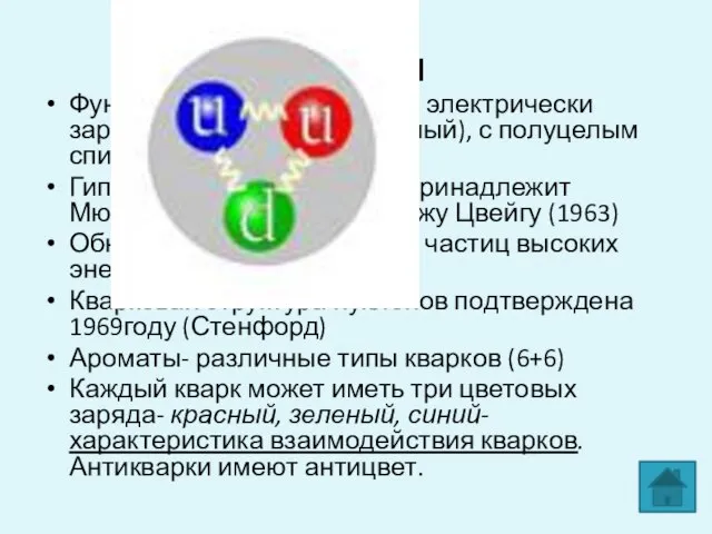 Кварки Фундаментальные частицы, электрически заряженные частицы (дробный), с полуцелым спином (фермионы) Гипотеза