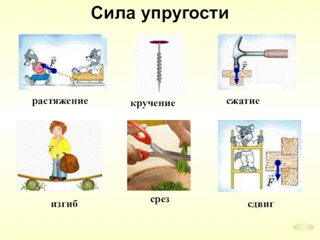 Сила упругости растяжение изгиб сжатие кручение срез сдвиг