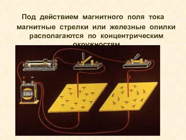 Под действием магнитного поля тока магнитные стрелки или железные опилки располагаются по концентрическим окружностям