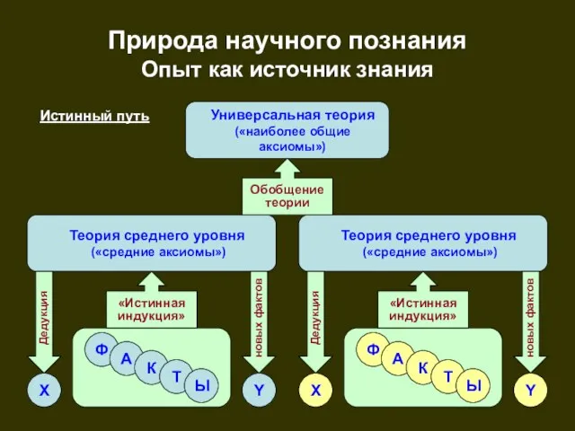 Природа научного познания Опыт как источник знания Универсальная теория («наиболее общие аксиомы»)