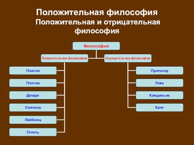 Положительная философия Положительная и отрицательная философия