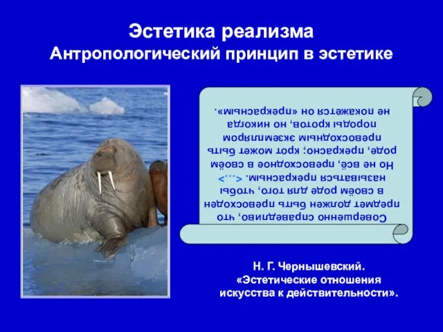 Эстетика реализма Антропологический принцип в эстетике Совершенно справедливо, что предмет должен быть