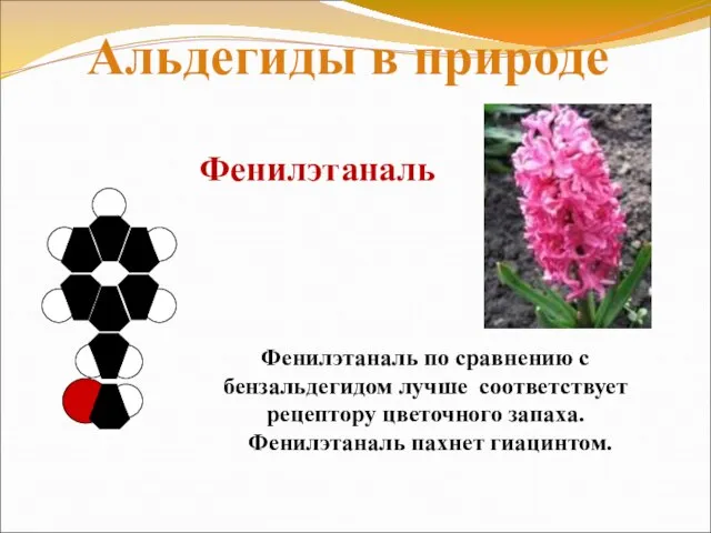 Фенилэтаналь Фенилэтаналь по сравнению с бензальдегидом лучше соответствует рецептору цветочного запаха. Фенилэтаналь