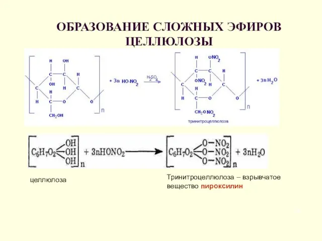 ОБРАЗОВАНИЕ СЛОЖНЫХ ЭФИРОВ ЦЕЛЛЮЛОЗЫ Тринитроцеллюлоза – взрывчатое вещество пироксилин целлюлоза