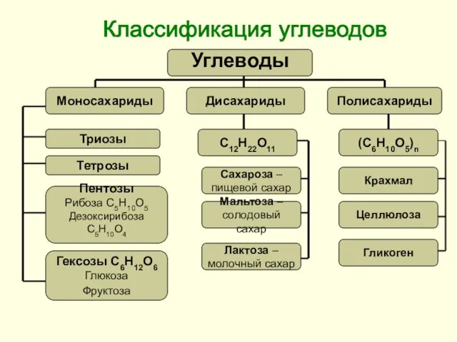 Классификация углеводов Триозы Тетрозы Пентозы Рибоза С5Н10О5 Дезоксирибоза С5Н10О4 Гексозы С6Н12О6 Глюкоза