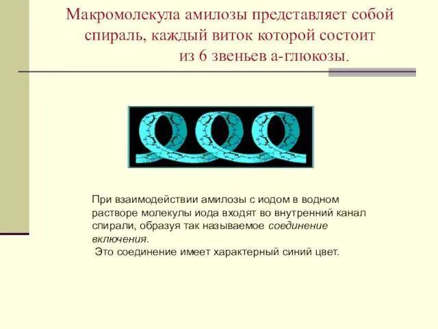 Макромолекула амилозы представляет собой спираль, каждый виток которой состоит из 6 звеньев