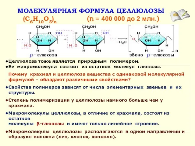 МОЛЕКУЛЯРНАЯ ФОРМУЛА ЦЕЛЛЮЛОЗЫ (C6H10O5)n (n = 400 000 до 2 млн.) Целлюлоза