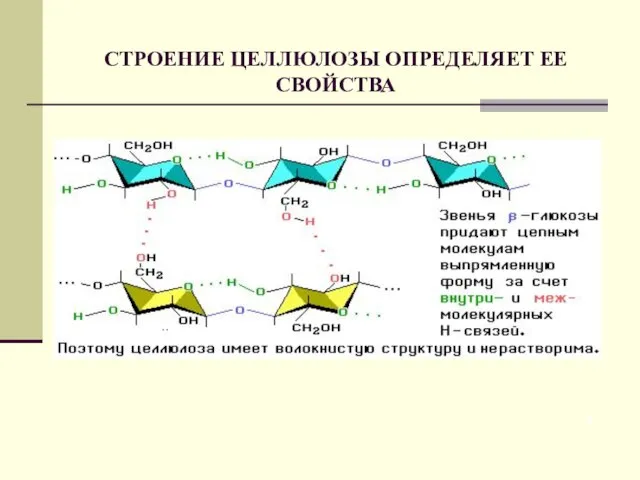 СТРОЕНИЕ ЦЕЛЛЮЛОЗЫ ОПРЕДЕЛЯЕТ ЕЕ СВОЙСТВА