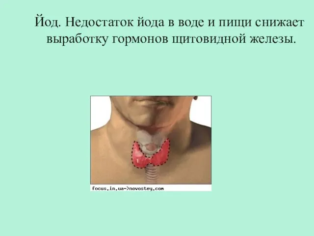 Йод. Недостаток йода в воде и пищи снижает выработку гормонов щитовидной железы.