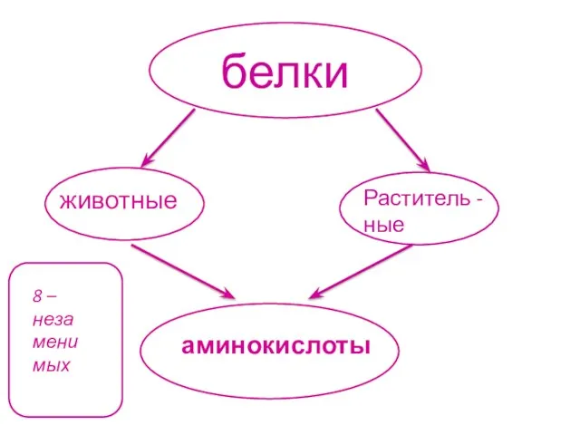 белки животные Раститель - ные аминокислоты 8 – неза менимых