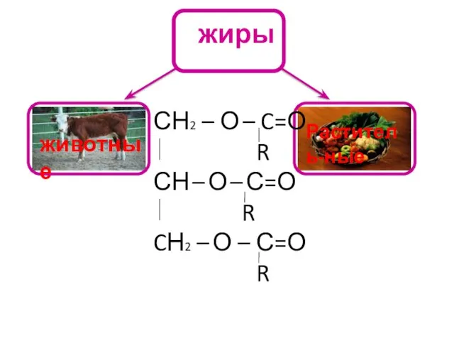 жиры животные Раститель-ные СН2 – О – C=О R СН – О