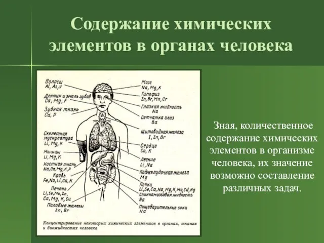 Содержание химических элементов в органах человека Зная, количественное содержание химических элементов в