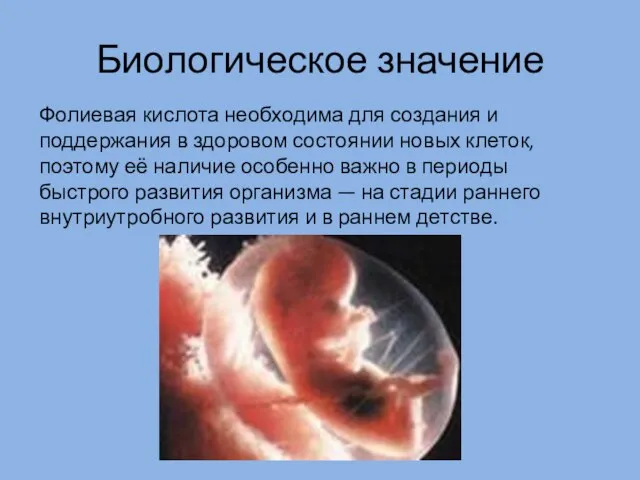 Биологическое значение Фолиевая кислота необходима для создания и поддержания в здоровом состоянии