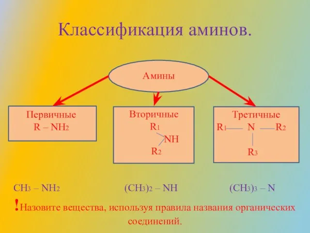 Классификация аминов. Амины Первичные R – NH2 Вторичные R1 NH R2 Третичные