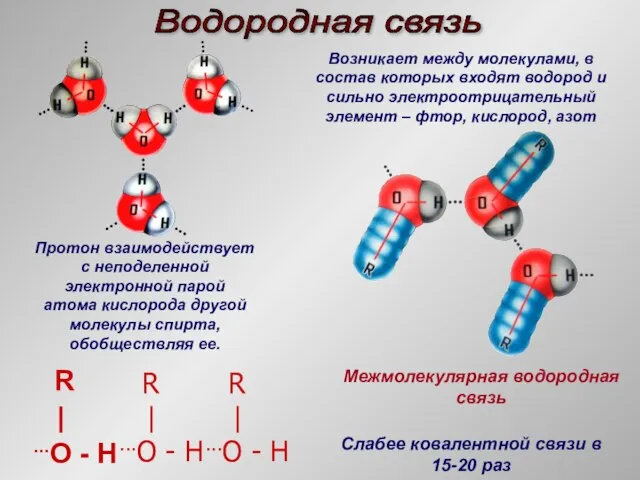 Водородная связь R | ...O - H R | ...O - H