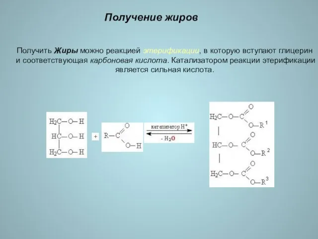 Получение жиров Получить Жиры можно реакцией этерификации, в которую вступают глицерин и