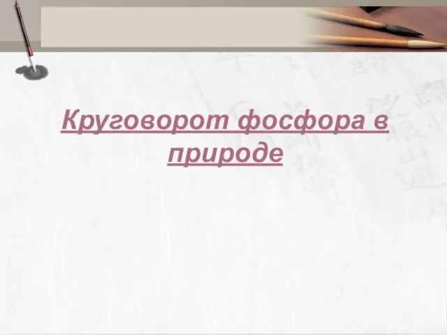 Круговорот фосфора в природе