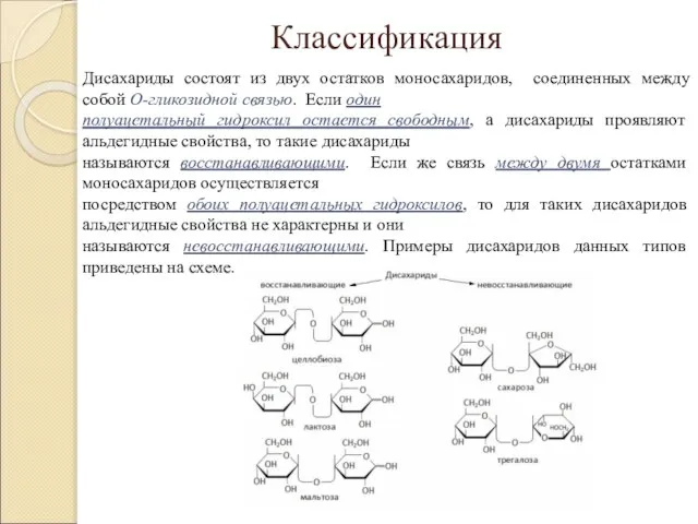 Классификация Дисахариды состоят из двух остатков моносахаридов, соединенных между собой О-гликозидной связью.