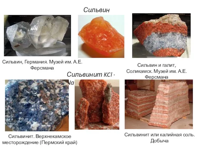 Сильвин KCl Сильвин, Германия. Музей им. А.Е.Ферсмана Сильвин и галит, Соликамск. Музей