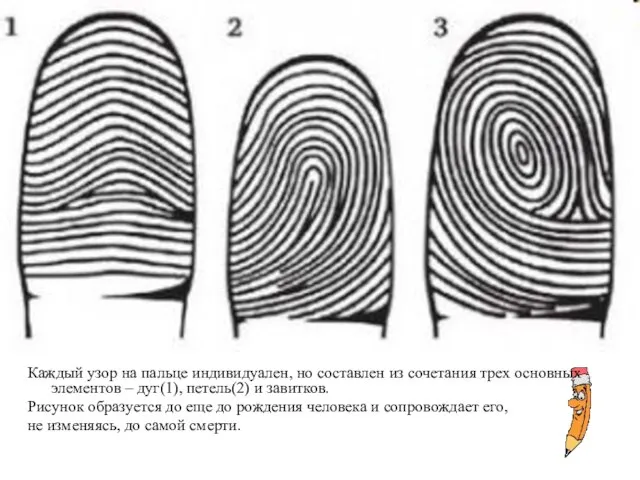 Каждый узор на пальце индивидуален, но составлен из сочетания трех основных элементов