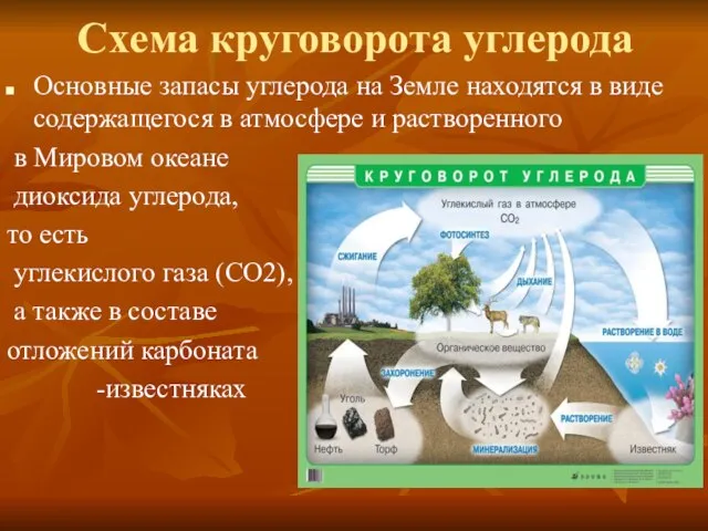 Основные запасы углерода на Земле находятся в виде содержащегося в атмосфере и