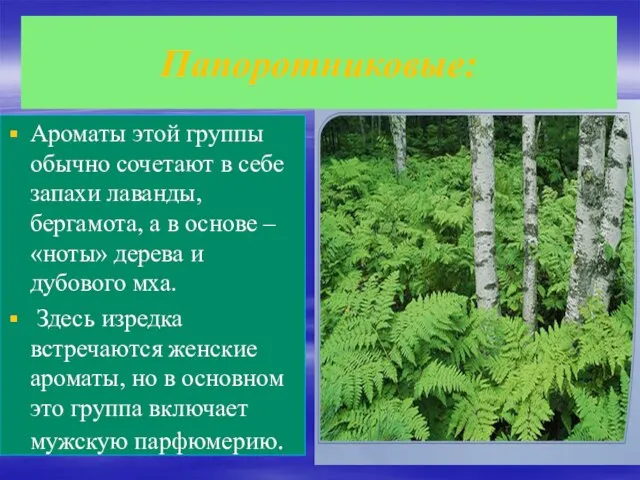 Папоротниковые: Ароматы этой группы обычно сочетают в себе запахи лаванды, бергамота, а