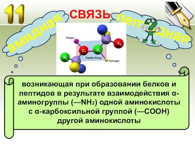 возникающая при образовании белков и пептидов в результате взаимодействия α-аминогруппы (—NH2) одной