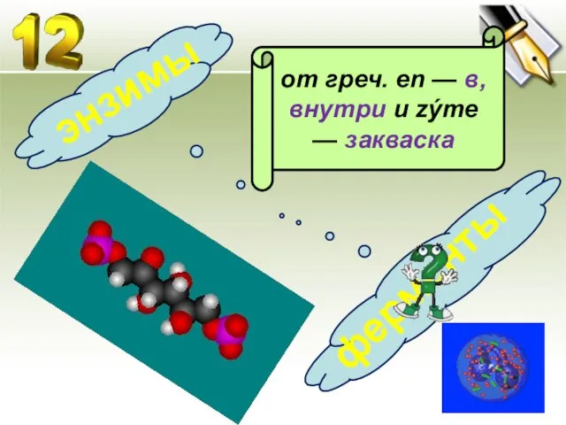 от греч. en — в, внутри и zýme — закваска энзимы ферменты