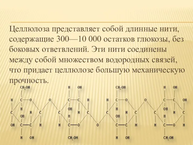 Целлюлоза представляет собой длинные нити, содержащие 300—10 000 остатков глюкозы, без боковых