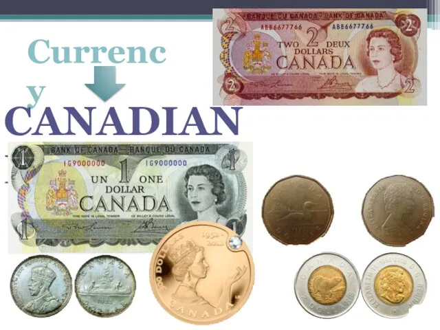 Currency CANADIAN DOLLAR