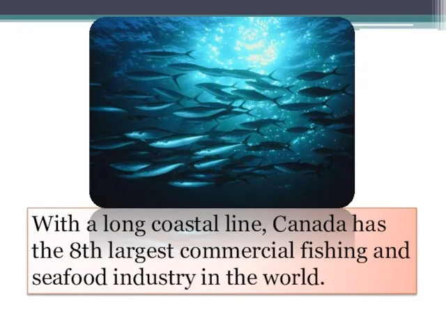 With a long coastal line, Canada has the 8th largest commercial fishing