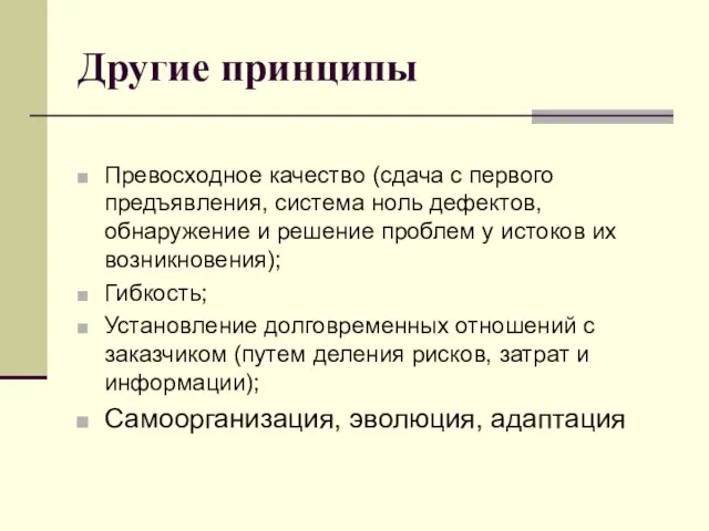 Другие принципы Превосходное качество (сдача с первого предъявления, система ноль дефектов, обнаружение