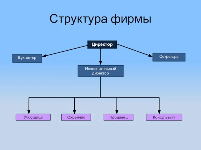 Структура фирмы