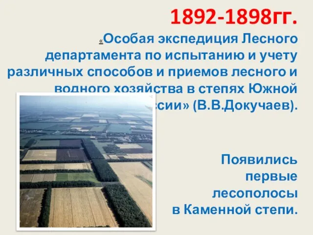 1892-1898гг. «Особая экспедиция Лесного департамента по испытанию и учету различных способов и