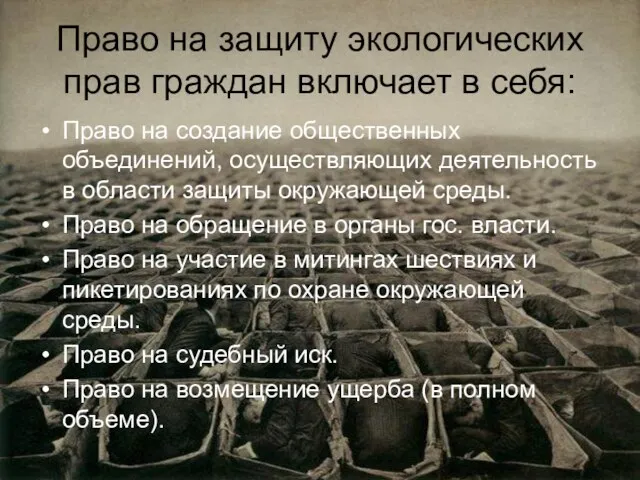 Право на защиту экологических прав граждан включает в себя: Право на создание