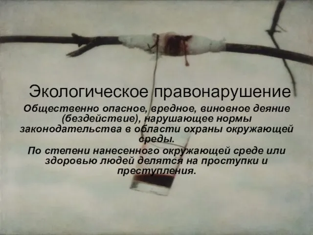 Экологическое правонарушение Общественно опасное, вредное, виновное деяние (бездействие), нарушающее нормы законодательства в