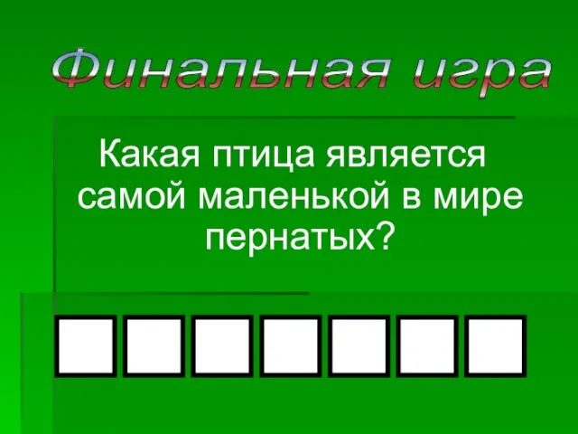 Какая птица является самой маленькой в мире пернатых? Финальная игра