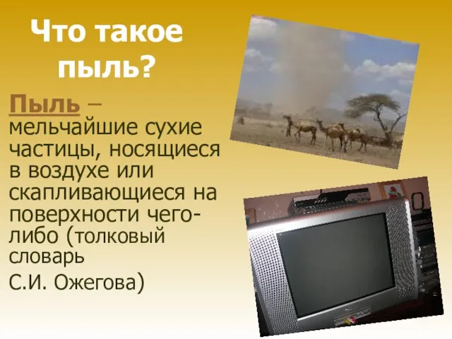 Что такое пыль? Пыль – мельчайшие сухие частицы, носящиеся в воздухе или