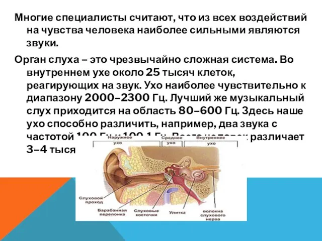 Многие специалисты считают, что из всех воздействий на чувства человека наиболее сильными