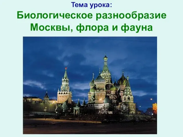 Презентация на тему Биологическое разнообразие Москвы, флора и фауна