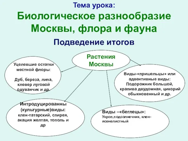 Тема урока: Биологическое разнообразие Москвы, флора и фауна Подведение итогов Растения Москвы